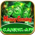Betjee Game Pro Gaming App