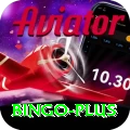 bingo Game Plus v4.3.2